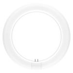 Ledvance Rura LED T9 Value Okólnik (EM/Mains) 11W 1320lm - 840 Zimna Biel | Zamienne 22W