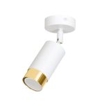 Emibig Lampa sufitowa Hiro Stal Valkoinen | Nadaje Się Do 1x GU10 - Max 10W