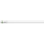 Philips MASTER LED Tube T8 (EM/Mains) Ultra Efficiency 11.9W 2500lm - 865 Światło Dzienne | 120cm - Zamienne 36W