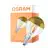 Osram Classic LED E14 Piłka Włókno Przezroczysty 4W 380lm - 827 Bardzo Ciepła Biel | Zamienne 34W