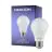 Noxion Lucent Classic LED E27 Gruszka Matowy 4.9W 480lm - 840 Zimna Biel | Zamienne 40W