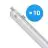 Opakowanie 10x Philips Oprawy Hermetyczne LED CoreLine WT120C G2 42.9W 6000lm - 840 Zimna Biel | 150cm 