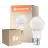 Opakowanie 6x Ledvance Performance LED Żarówka B22d Gruszka Matowy 8.5W 806lm - 827 Bardzo Ciepła Biel | Zamienne 60W