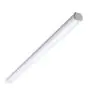 Philips Oprawy Hermetyczne LED Ledinaire WT060C 46W 5600lm - 840 Zimna Biel | 150cm - 1x Poprzez Przewód