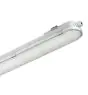 Philips Oprawy Hermetyczne LED CoreLine WT120C G2 61W 8000lm - 840 Zimna Biel | 150cm - Dali Ściemnianie 