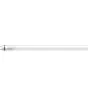 Philips MASTER LED Tube T8 (EM/Mains) Ultra Efficiency 11.9W 2500lm - 865 Światło Dzienne | 120cm - Zamienne 36W