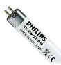 Philips T5 Short 4W - 640 Zimna Biel | 14cm