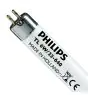 Philips T5 Short 6W - 640 Zimna Biel | 21cm