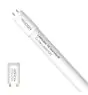 Noxion Rura LED T8 Avant (EM/Mains) Standard Output 15W 1800lm - 830 Ciepła Biel | 120cm - Zamienne 36W