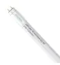 Noxion Rura LED T8 Avant Extreme (HF) High Output 20W 3100lm - 865 Światło dzienne | 150cm - Zamienne 58W