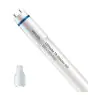 Philips Rura LED T8 MASTER (EM/Mains) High Output 8W 1050lm - 840 Zimna Biel | 60cm - Zamienne 18W
