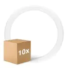 Opakowanie 10x Ledvance Rura LED T9 Value Okólnik (EM/Mains) 18.3W 2200lm - 840 Zimna Biel | Zamienne 32W