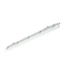 Philips Oprawy Hermetyczne LED Ledinaire WT065C 23/42W 2900/4800lm - 840 Zimna Biel | 120cm