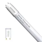 Noxion Rura LED T8 Avant Extreme (EM/Mains) High Output 16.5W 2650lm - 865 Światło Dzienne | 150cm - Zamienne 58W