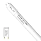 Noxion Rura LED T8 Avant (EM/Mains) Standard Output 15W 1800lm - 865 Światło Dzienne | 120cm - Zamienne 36W