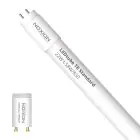 Noxion Rura LED T8 Avant (EM/Mains) Standard Output 19W 2300lm - 830 Ciepła Biel | 150cm - Zamienne 58W
