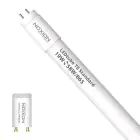 Noxion Rura LED T8 Avant (EM/Mains) Standard Output 19W 2300lm - 865 Światło Dzienne | 150cm - Zamienne 58W